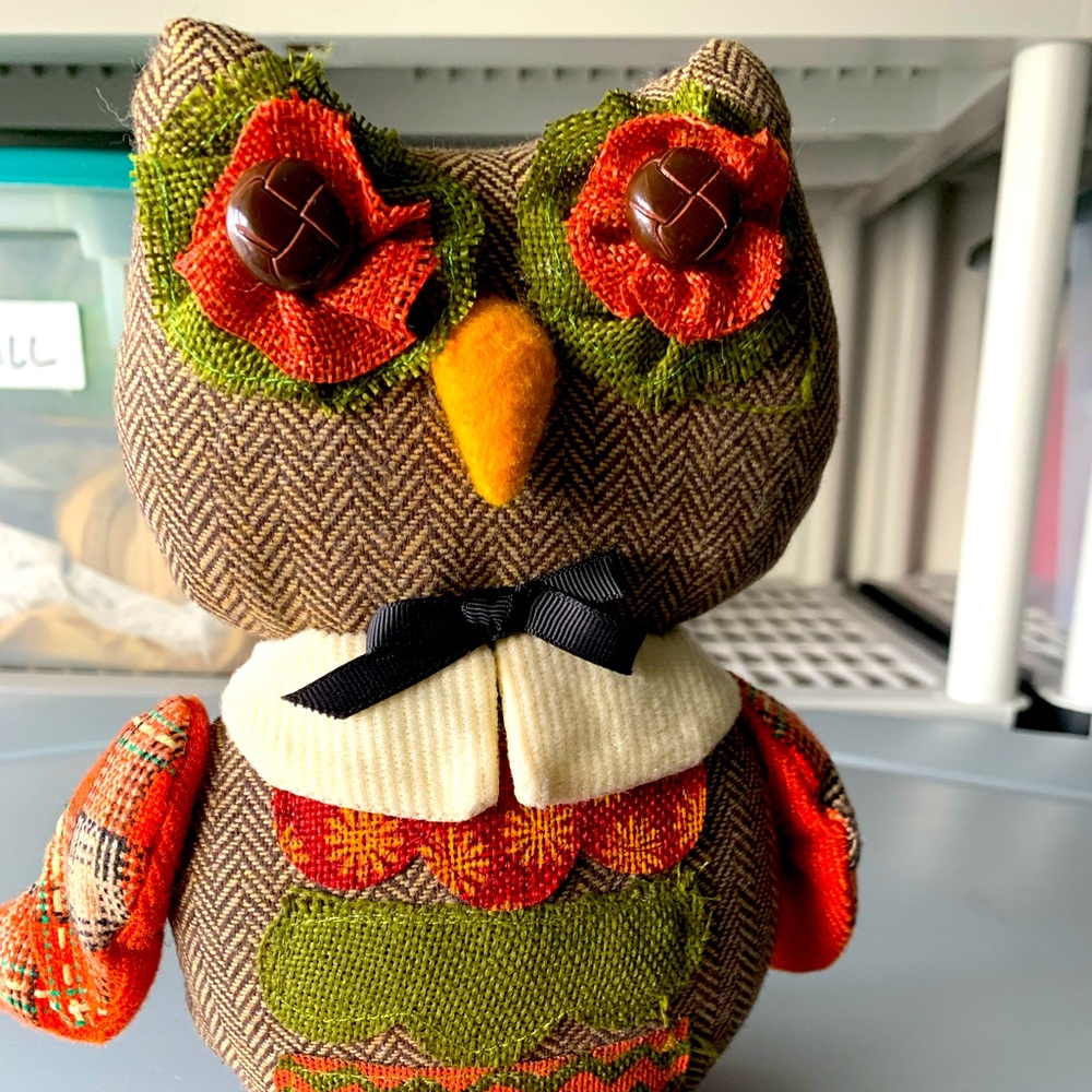 Fall Autumn Decor Owl